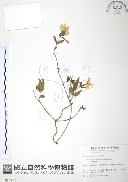 山素英藏品圖，第1張