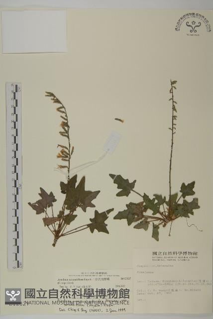 中原氏鬼督郵藏品圖，第1張