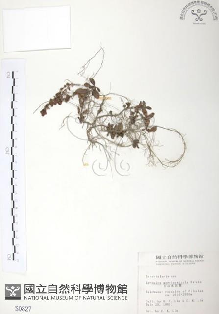 玉山水苦賈藏品圖，第1張