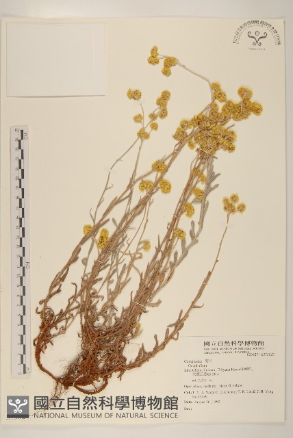 登錄號:S073827藏品圖，第1張