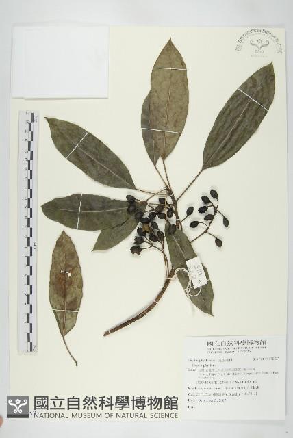 登錄號:S130527藏品圖，第1張