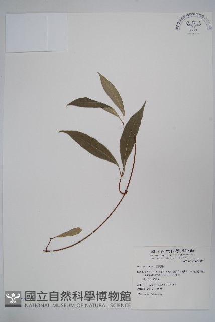 登錄號:S064527藏品圖，第1張