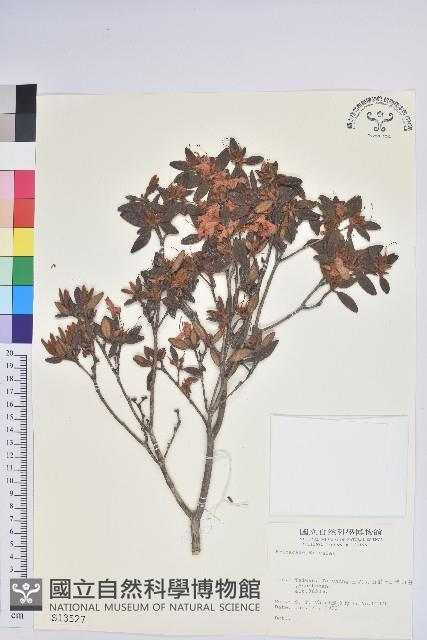 登錄號:S013527藏品圖，第1張