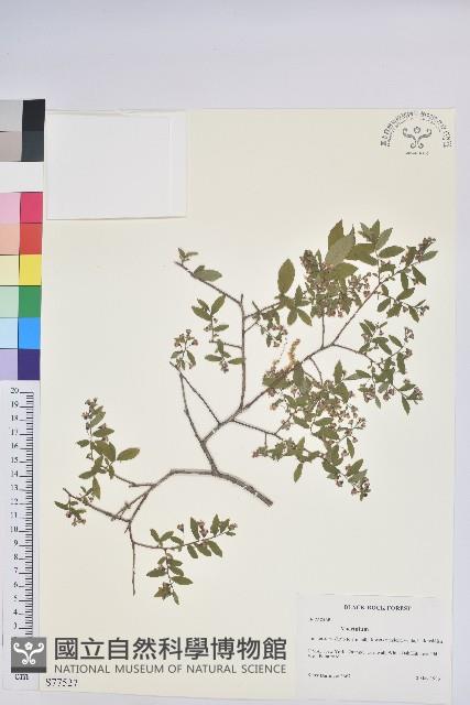 登錄號:S077527藏品圖，第1張