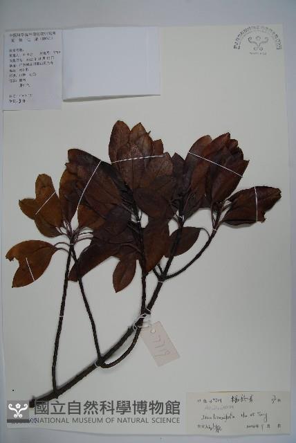 登錄號:S101607藏品圖，第1張