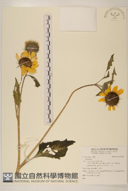 Accession Number:S130007 Collection Image, Figure 1, Total 2 Figures