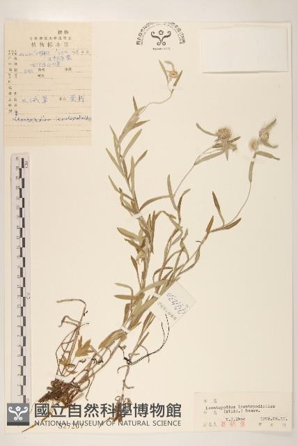 Accession Number:S027207 Collection Image, Figure 1, Total 3 Figures