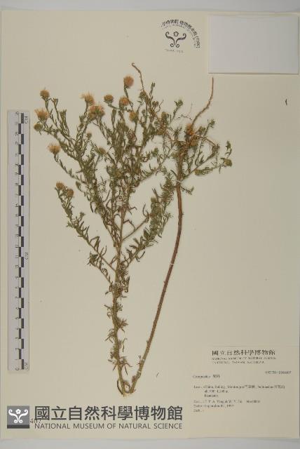 登錄號:S046407藏品圖，第1張