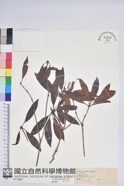 登錄號:S172407藏品圖，第1張