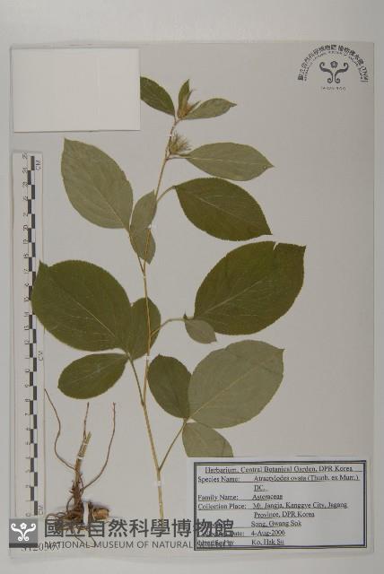 登錄號:S120307藏品圖，第1張