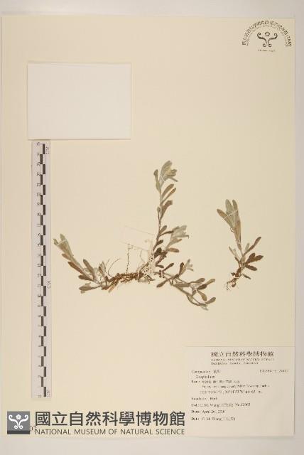 登錄號:S124907藏品圖，第1張