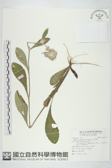 毛將軍藏品圖，第1張