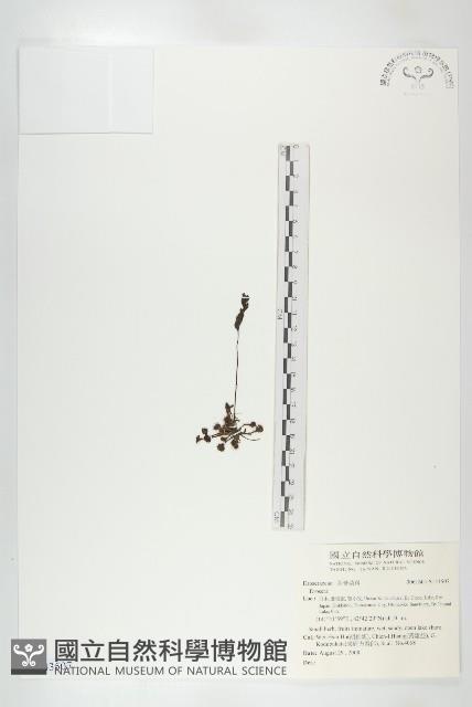 登錄號:S143507藏品圖，第1張