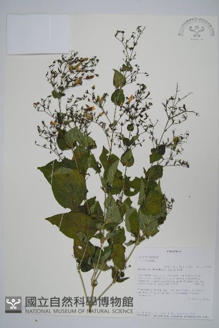 登錄號:S101017藏品圖，第1張