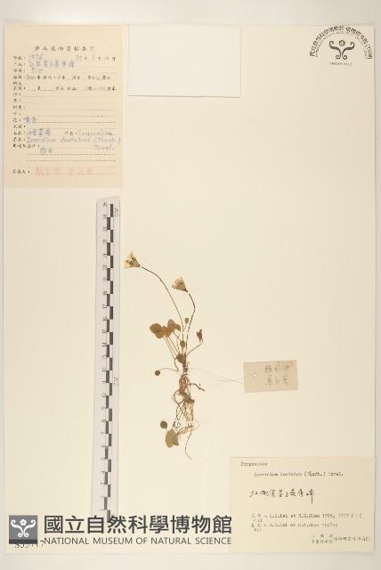 登錄號:S055717藏品圖，第1張