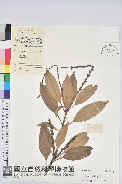 登錄號:S037717藏品圖，第1張