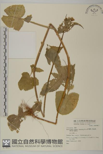 登錄號:S074417藏品圖，第1張