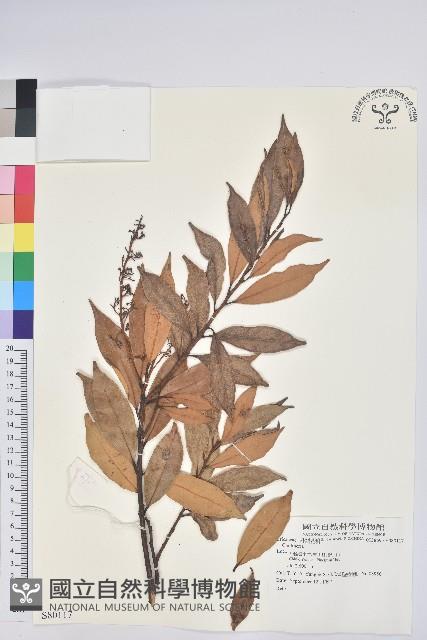 登錄號:S080117藏品圖，第1張