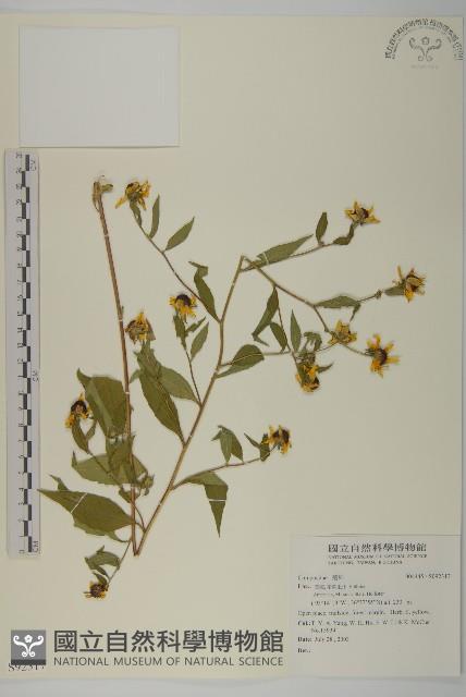 登錄號:S092317藏品圖，第1張