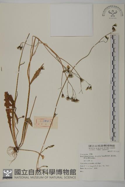 登錄號:S074317藏品圖，第1張