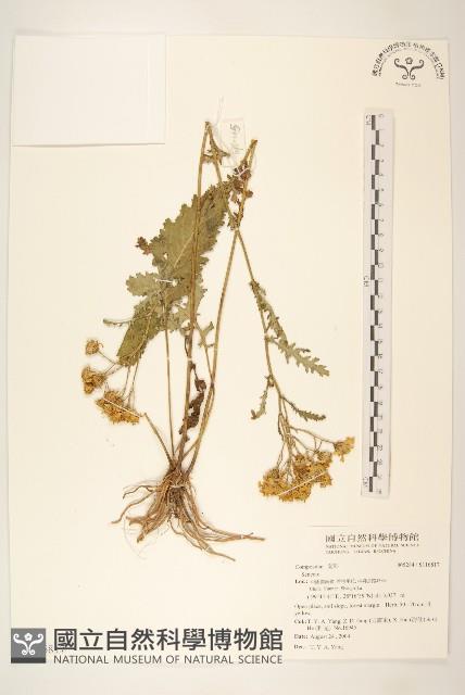 登錄號:S116817藏品圖，第1張