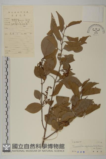 登錄號:S032817藏品圖，第1張