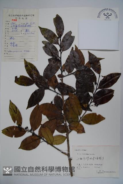 Accession Number:S057657 Collection Image, Figure 1, Total 2 Figures