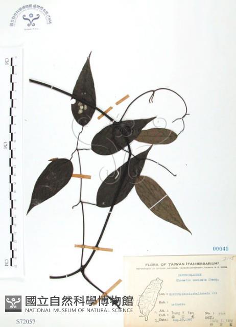 Accession Number:S072057 Collection Image, Figure 1, Total 2 Figures