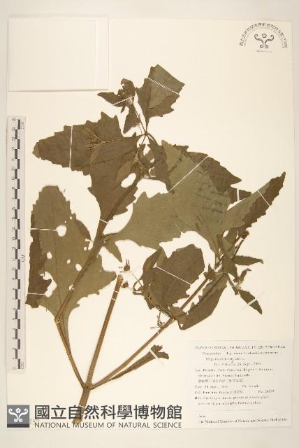 豨簽藏品圖，第1張