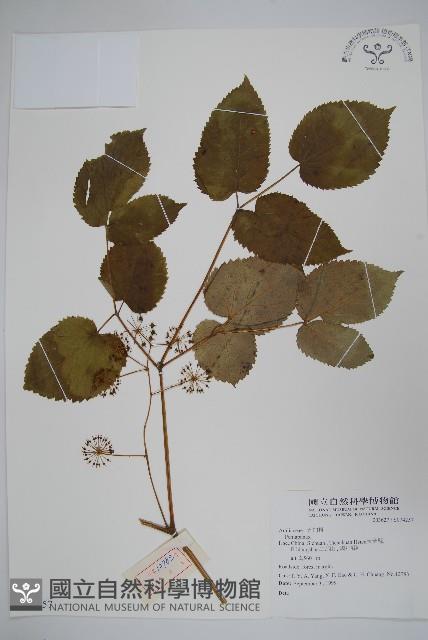 登錄號:S074257藏品圖，第1張