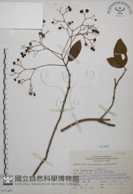 大青藏品圖，第1張