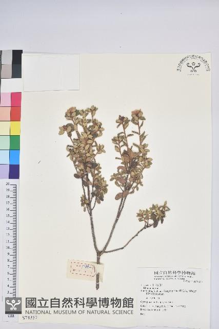 登錄號:S074357藏品圖，第1張