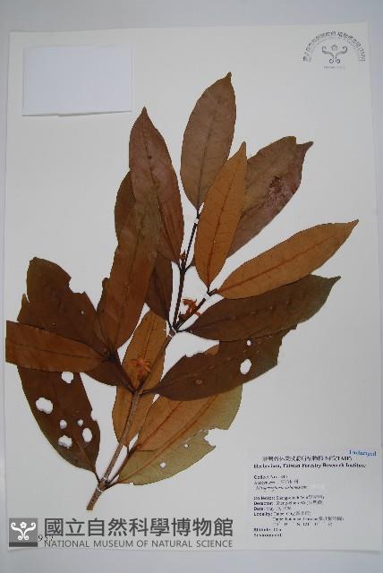 登錄號:S025957藏品圖，第1張