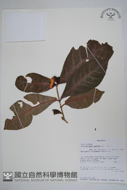 登錄號:S093957藏品圖，第1張