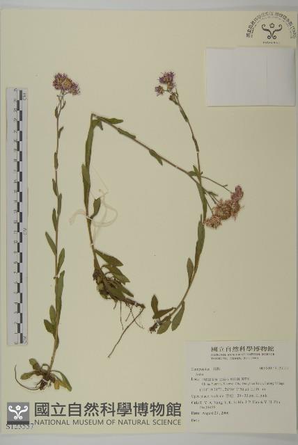 登錄號:S123557藏品圖，第1張