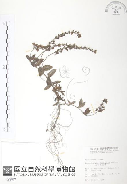 玉山水苦賈藏品圖，第1張