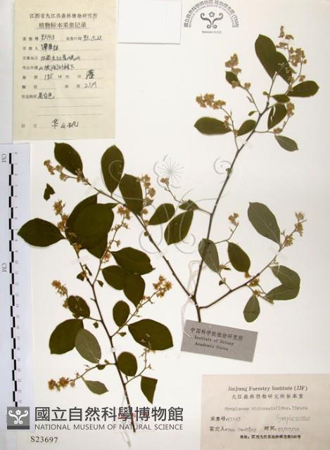 灰木藏品圖，第1張