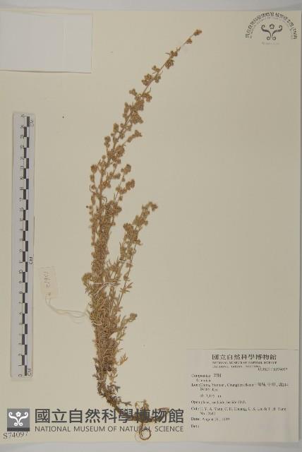 登錄號:S074097藏品圖，第1張