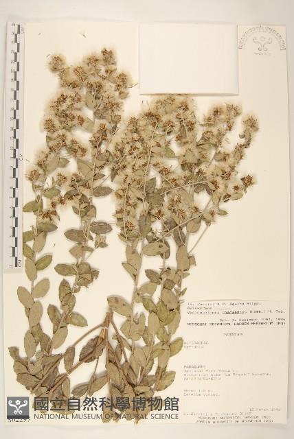 登錄號:S062297藏品圖，第1張