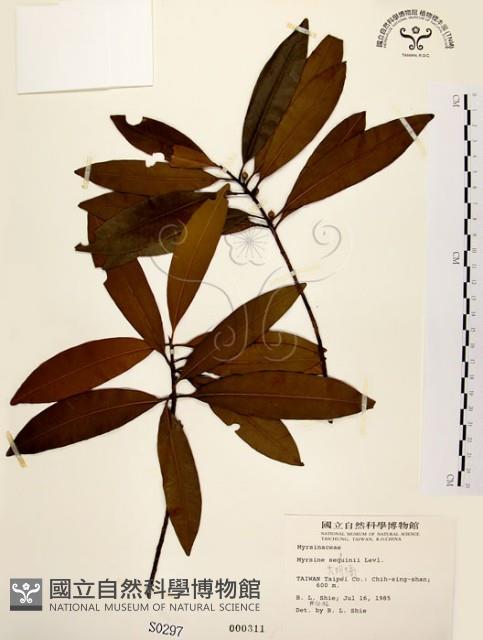 大明橘藏品圖，第1張