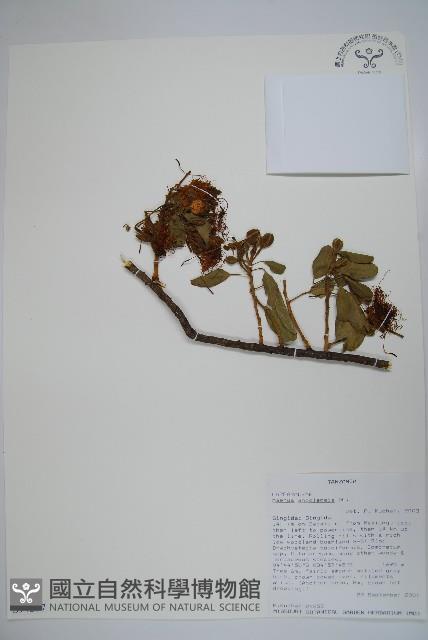 登錄號:S094297藏品圖，第1張