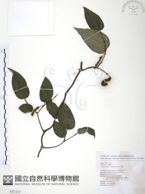 風藤藏品圖，第1張