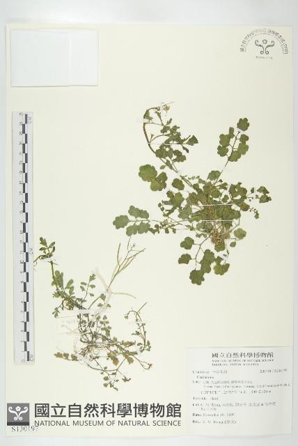 登錄號:S130197藏品圖，第1張