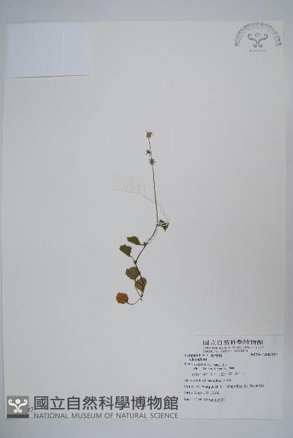 登錄號:S083197藏品圖，第1張