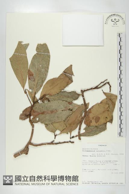 登錄號:S096397藏品圖，第1張