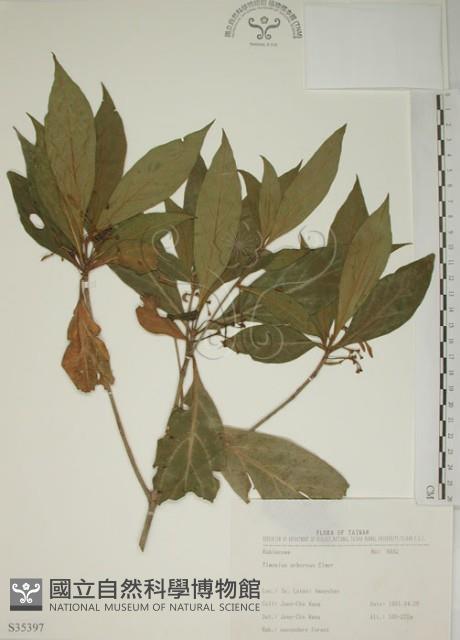 貝木藏品圖，第1張