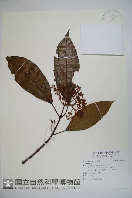 登錄號:S096897藏品圖，第1張