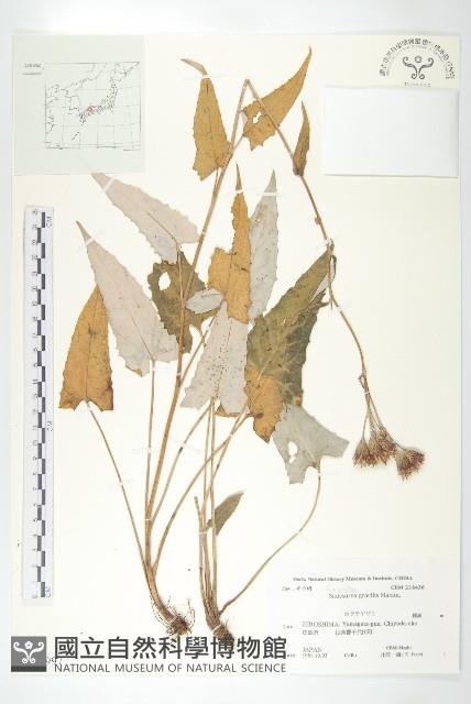 登錄號:S122997藏品圖，第1張