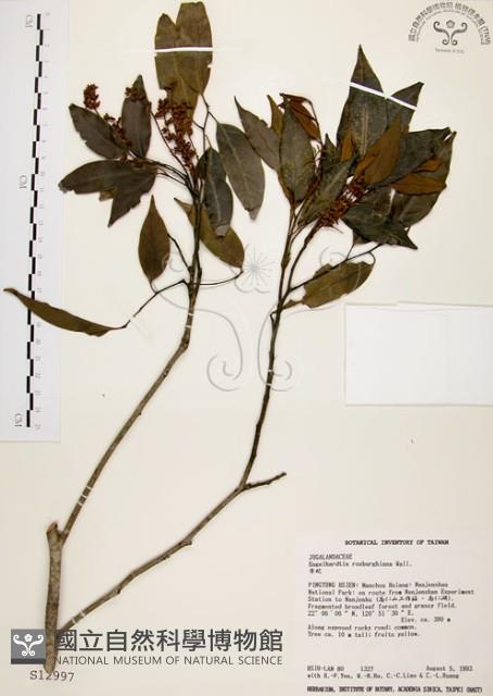 黃杞藏品圖，第1張