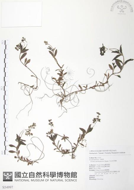 玉山水苦賈藏品圖，第1張